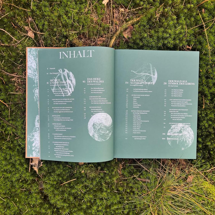 THE WOODS: Einzigartiger Kosmos - Ewiger Kreislauf - Bildband mit Cover in Holzoptik
