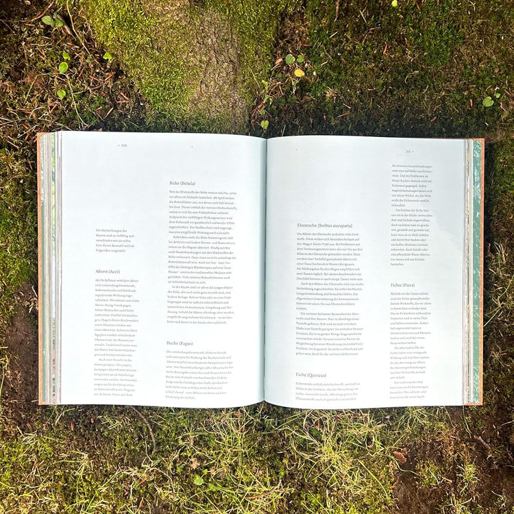 THE WOODS: Einzigartiger Kosmos - Ewiger Kreislauf - Bildband mit Cover in Holzoptik