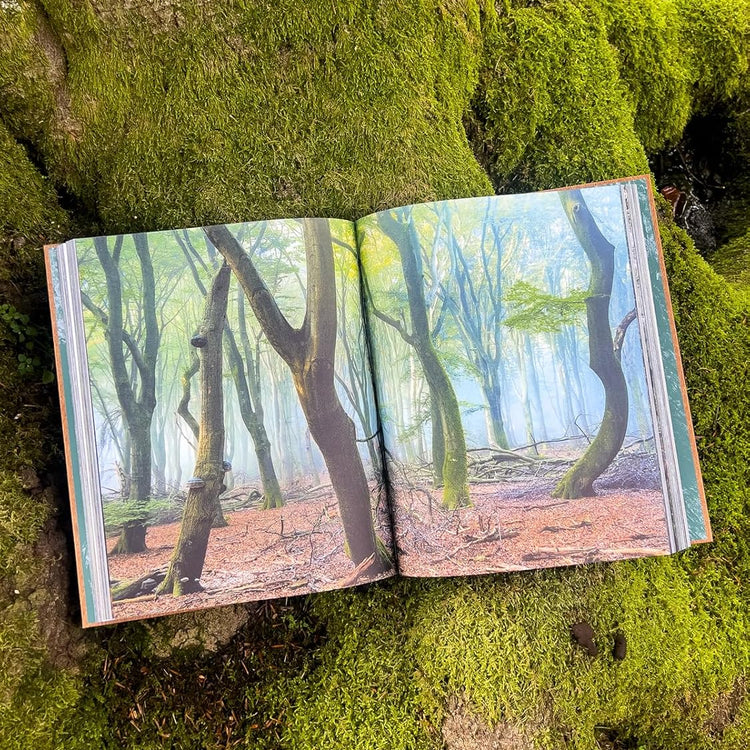 THE WOODS: Einzigartiger Kosmos - Ewiger Kreislauf - Bildband mit Cover in Holzoptik
