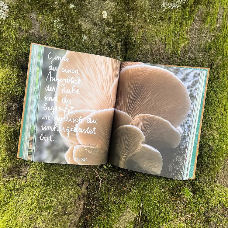 THE WOODS: Einzigartiger Kosmos - Ewiger Kreislauf - Bildband mit Cover in Holzoptik