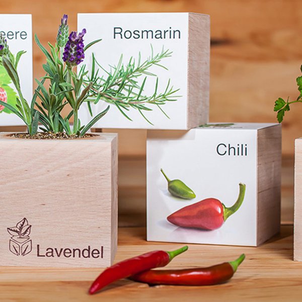 EcoCube Chili Habanero Classic