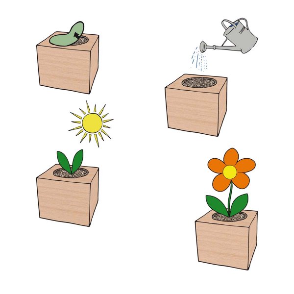 EcoCube Lavendel
