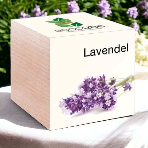 EcoCube Lavendel